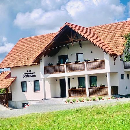 Agropensiunea Duminora Lăschia Exteriör bild