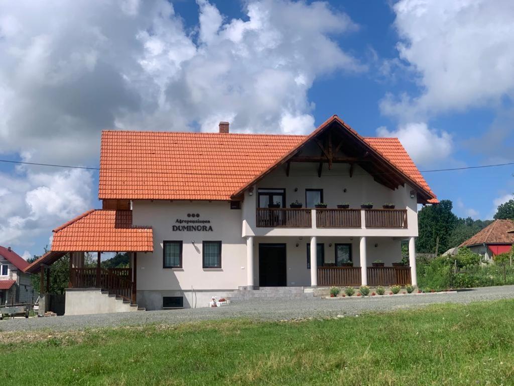 Agropensiunea Duminora Lăschia Exteriör bild
