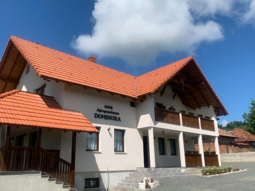 Agropensiunea Duminora Lăschia Exteriör bild